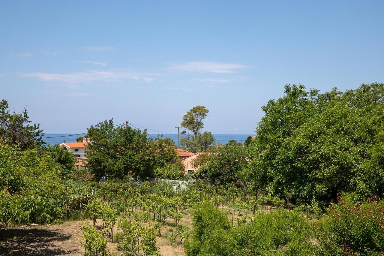 Irini Apartments And Studios Ájosz Górdiosz Kültér fotó